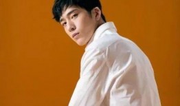 圈内爆料娱乐圈井柏然,娱乐圈爆料背后的真相与争议